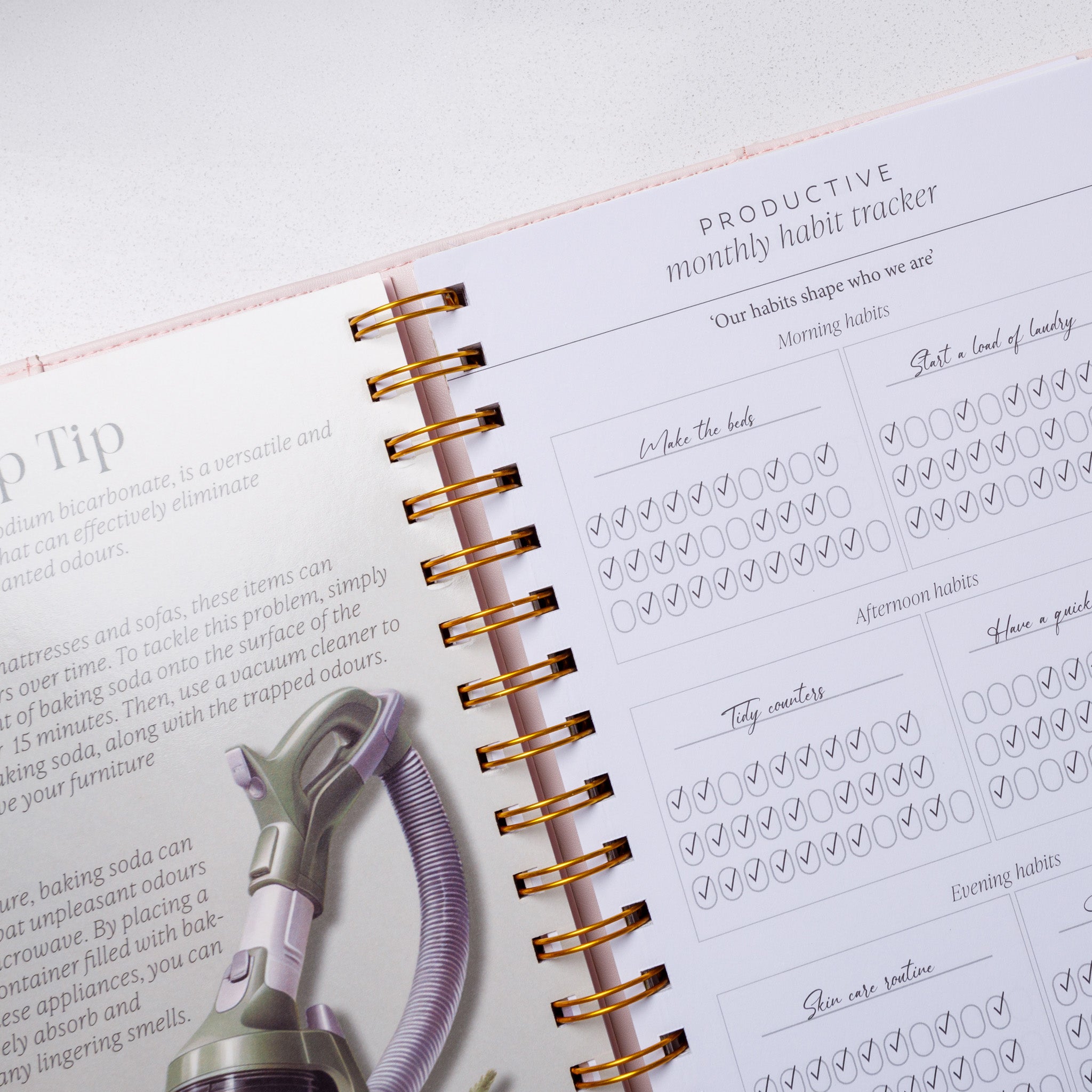 My Ultimate Cleaning Journal