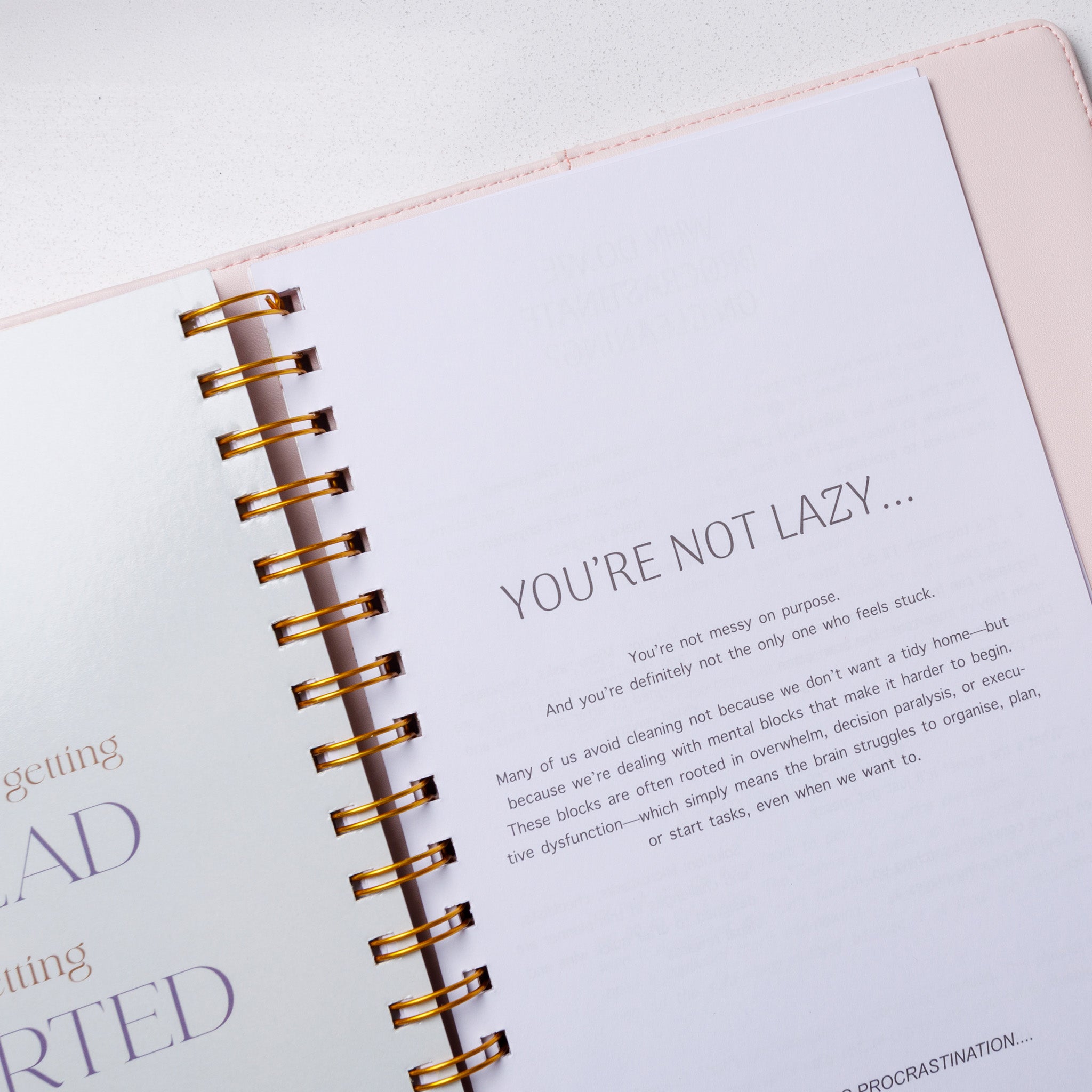 My Ultimate Cleaning Journal