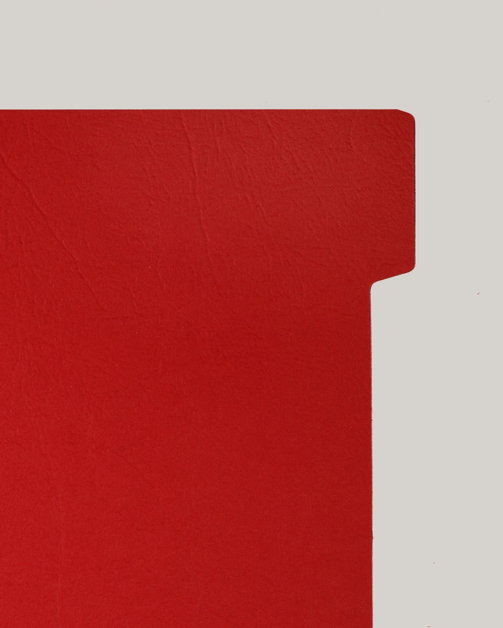 Festive Side Divider Pages | Ring-Bound