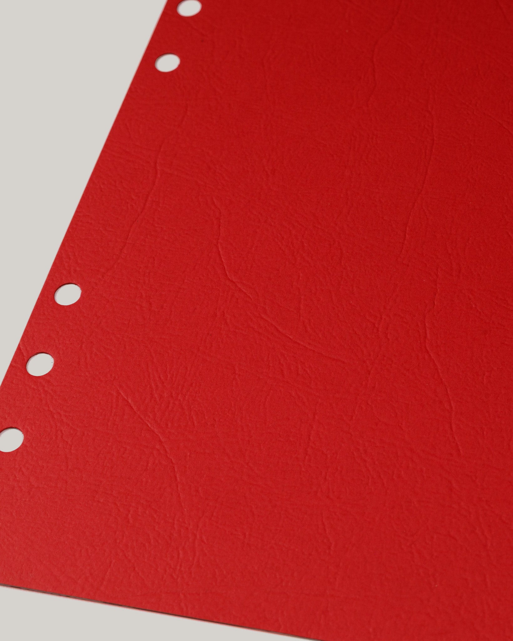 Festive Side Divider Pages | Ring-Bound