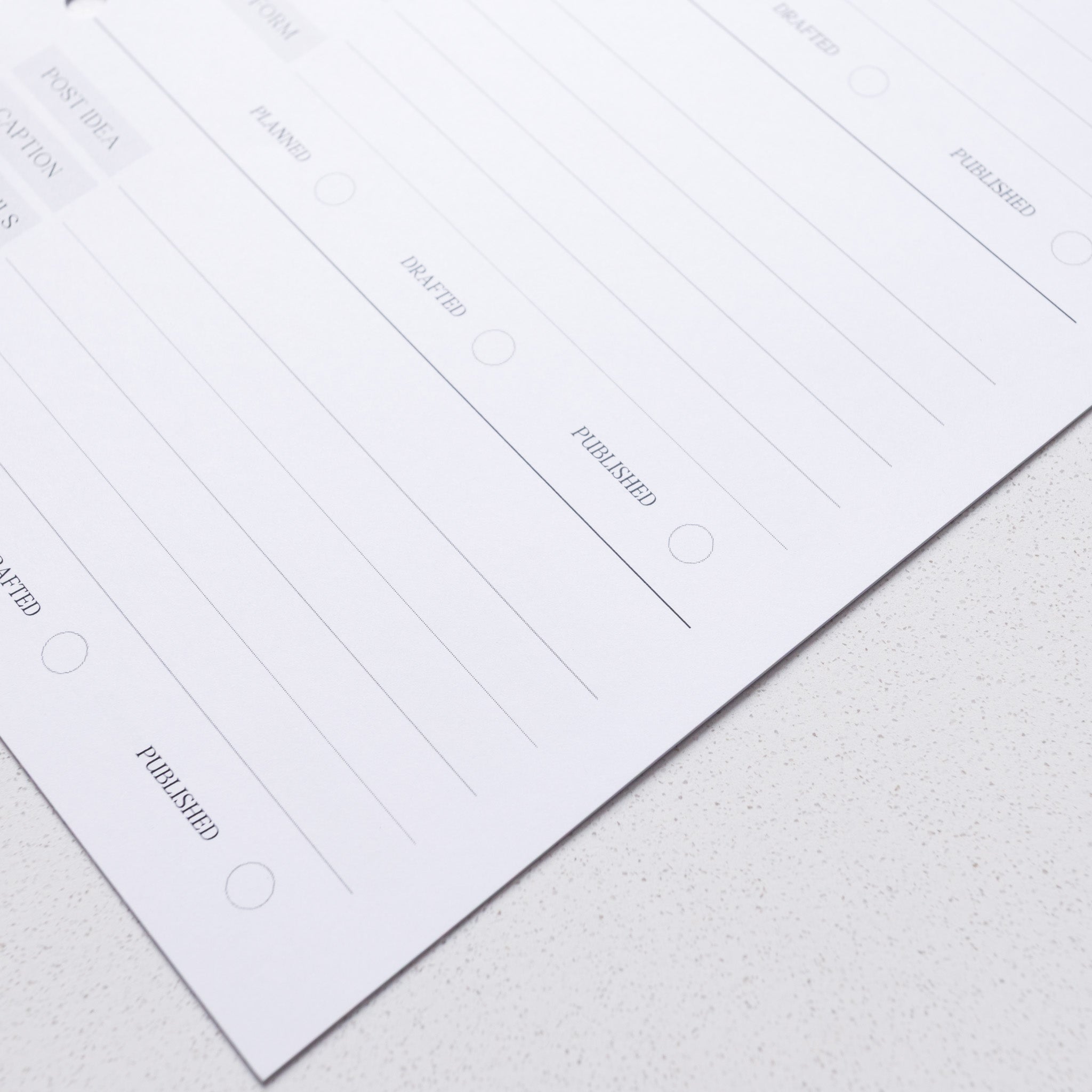 Social Media Insert Bundle