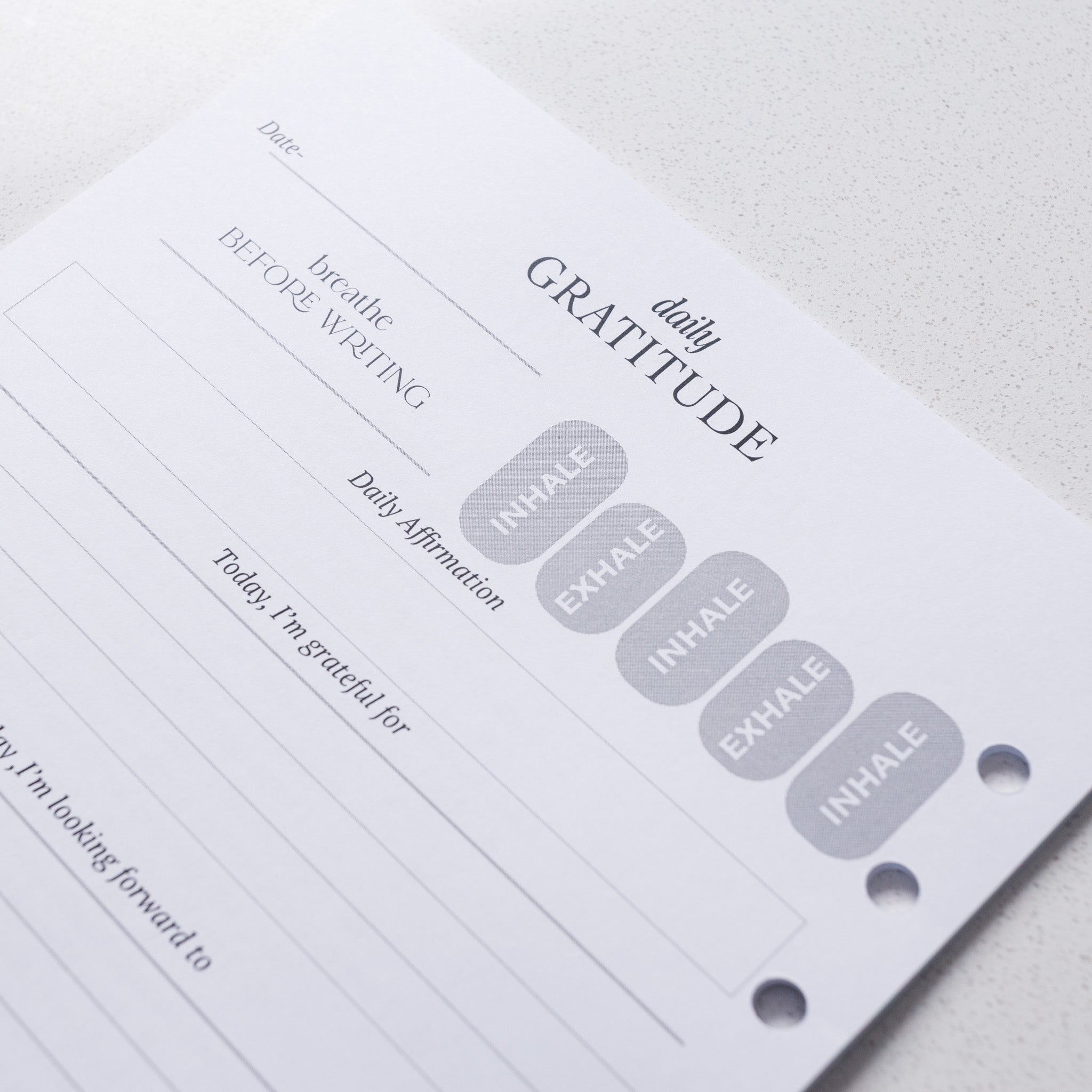 Daily Gratitude & Reflections