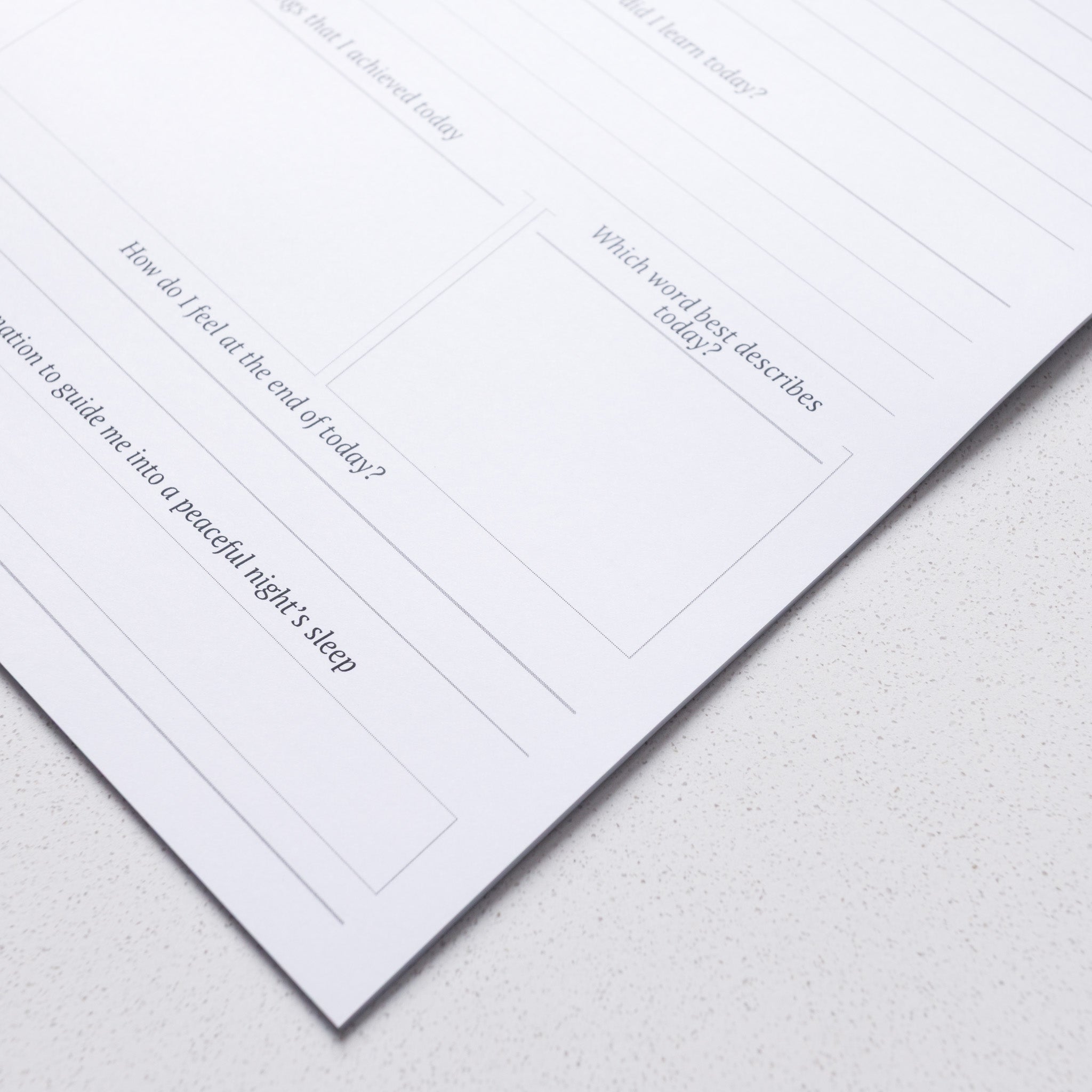 Daily Gratitude & Reflections