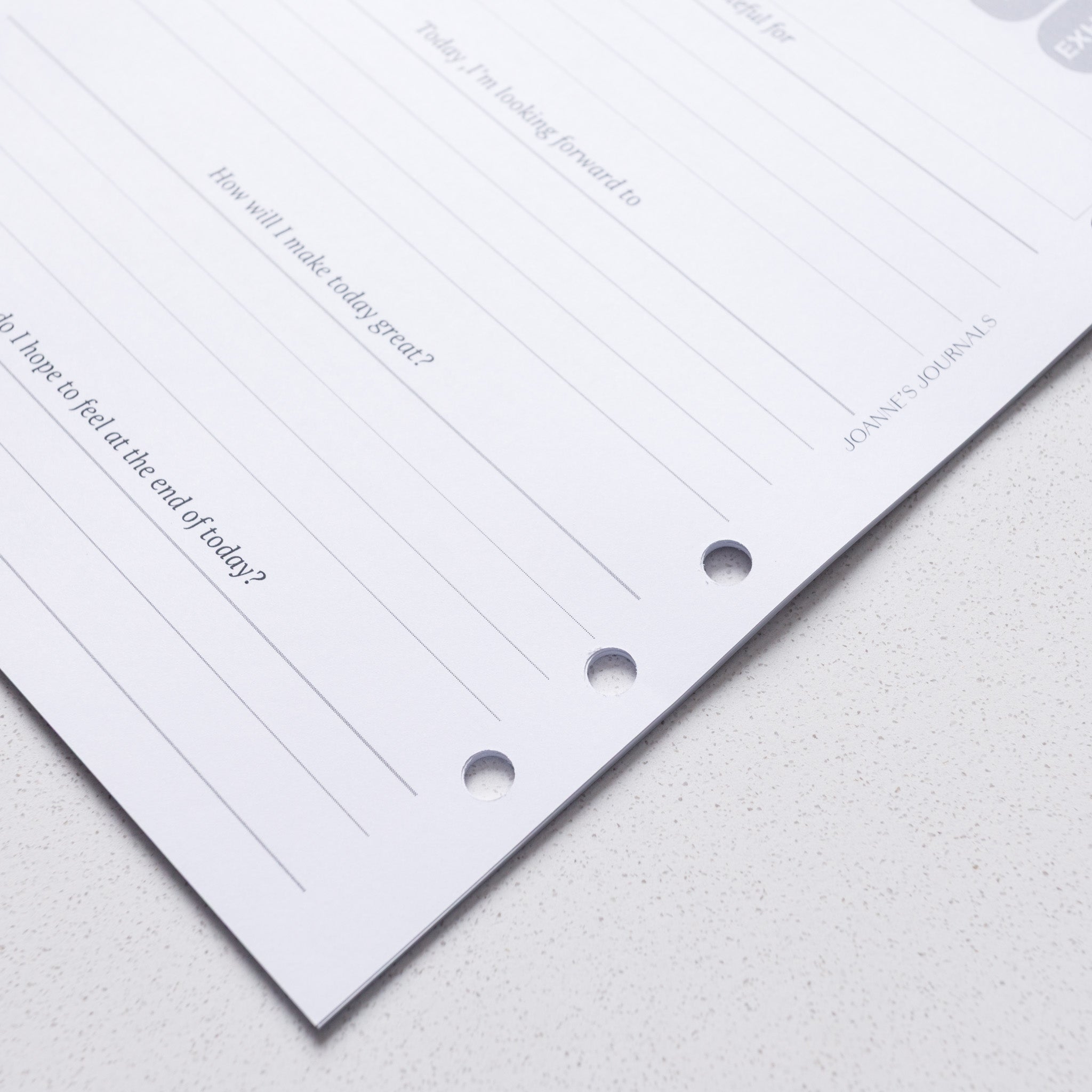 Daily Gratitude & Reflections