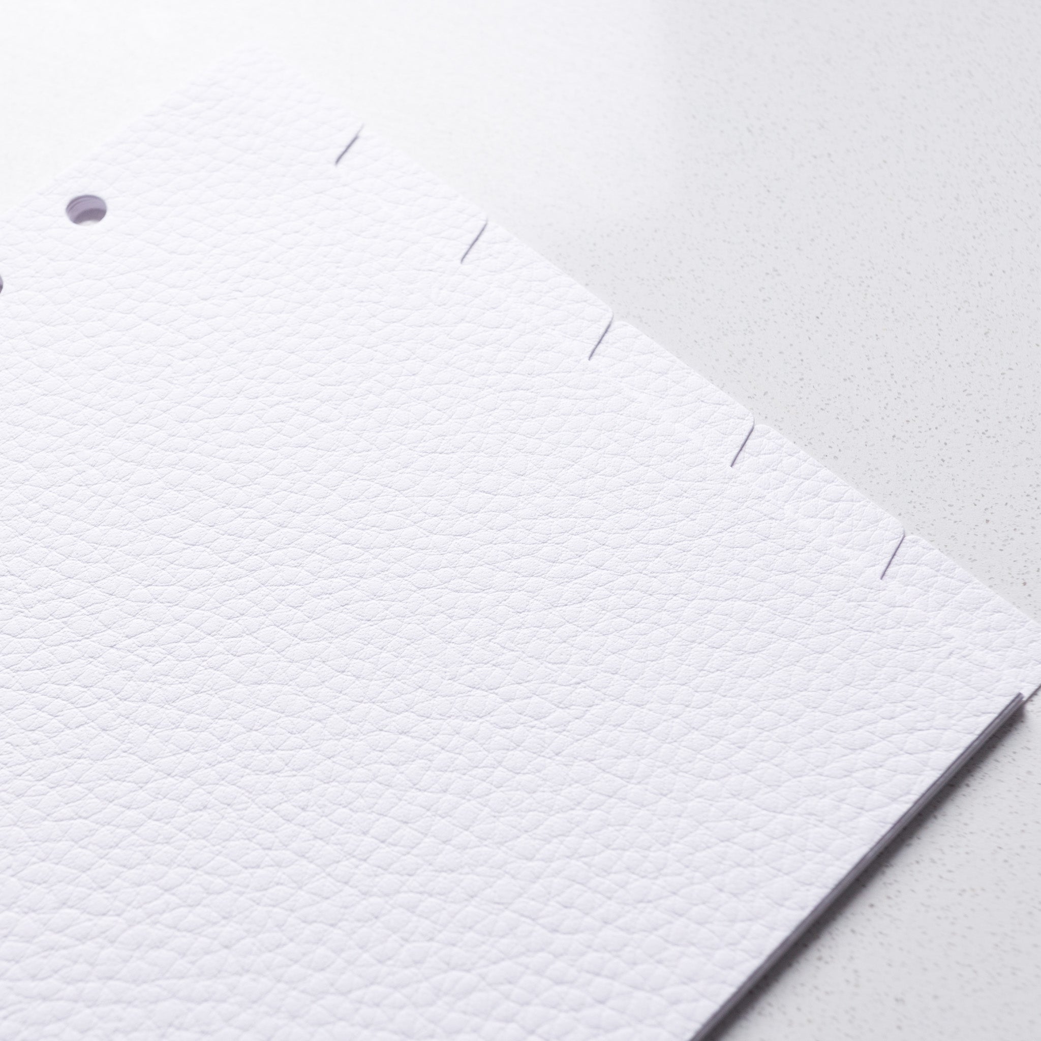 Top Divider Pages- Set Of 6